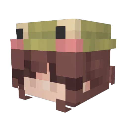 LunaStar011 Minecraft avatar head, 3D render