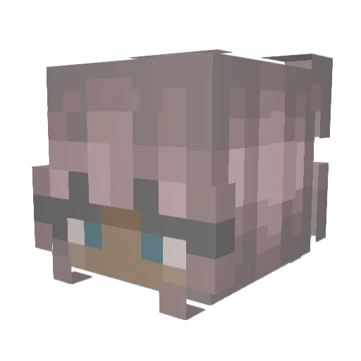 LunaTenebria Minecraft avatar head, 3D render