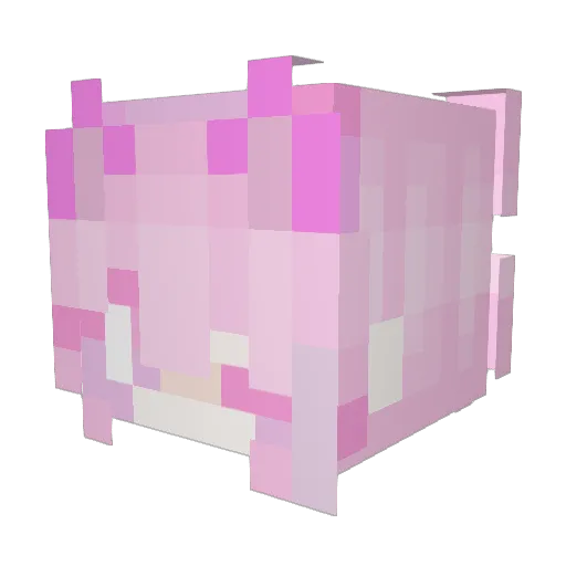 Luna_47123 Minecraft avatar head, 3D render