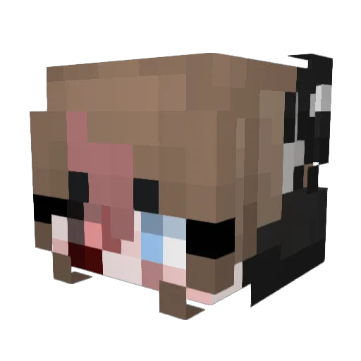 Luna_Playz16 Minecraft avatar head, 3D render