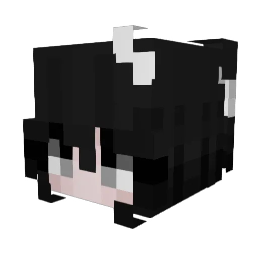 Luna_lina Minecraft avatar head, 3D render