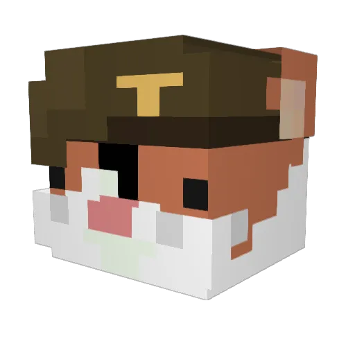Lunaa111 Minecraft avatar head, 3D render