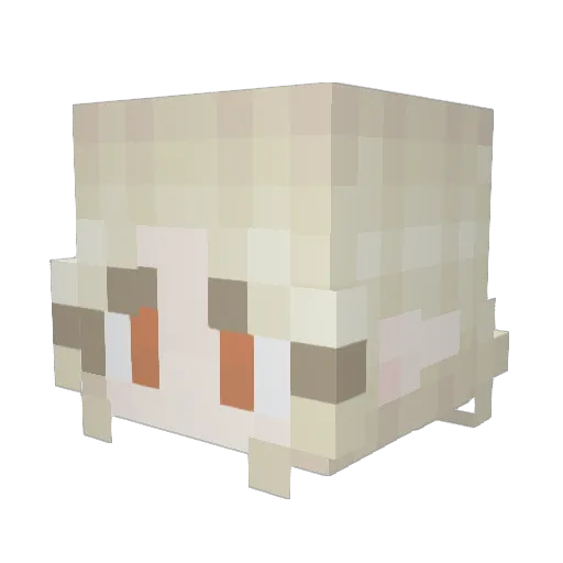 Lunaicia Minecraft avatar head, 3D render