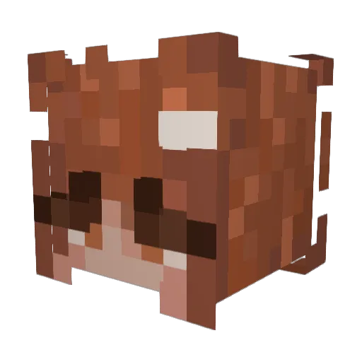 Lunaisu Minecraft avatar head, 3D render