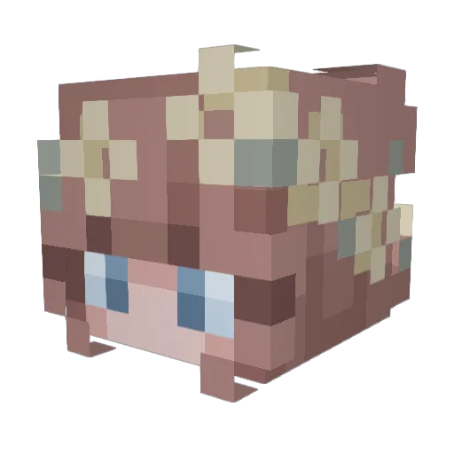 Lunalina Minecraft avatar head, 3D render