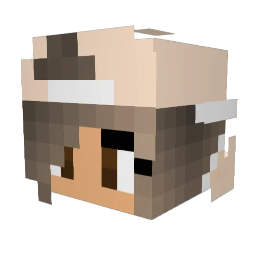 Lunapower2005 Minecraft avatar head, 3D render