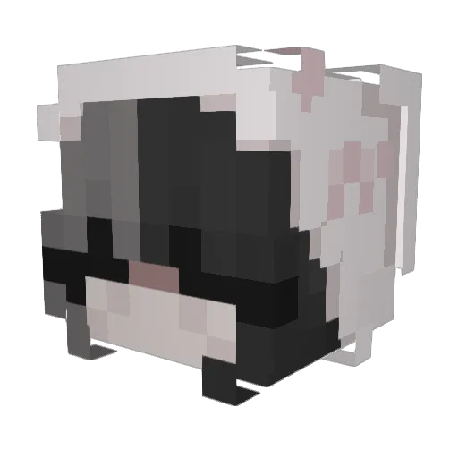 LunarEcho1 Minecraft avatar head, 3D render