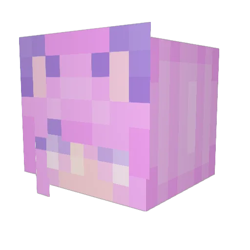 LunarEclipse422 Minecraft avatar head, 3D render