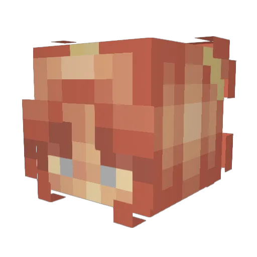 LunarExho Minecraft avatar head, 3D render