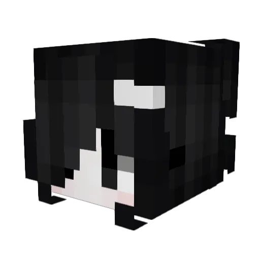 LunarHawk65lLNR Minecraft avatar head, 3D render