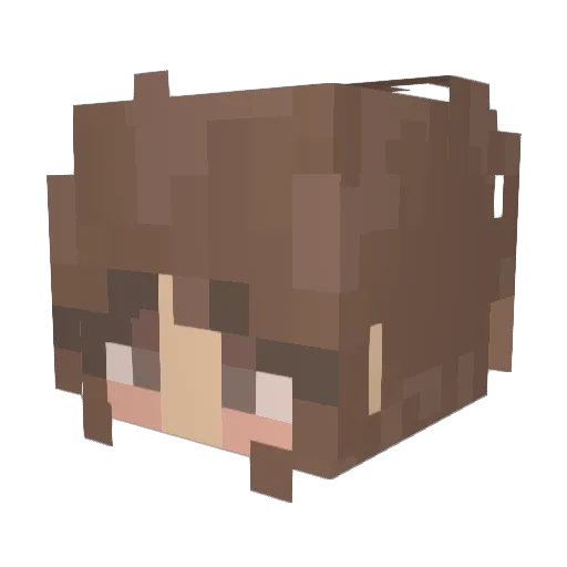 LunarMeadow Minecraft avatar head, 3D render