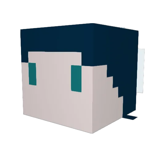 LunarSolace Minecraft avatar head, 3D render