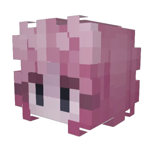 Lunar_Age Minecraft avatar head, 3D render
