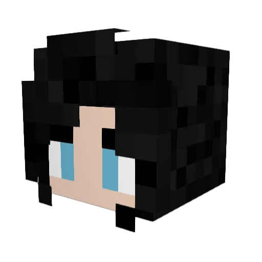 Lunar_Storm160 Minecraft avatar head, 3D render