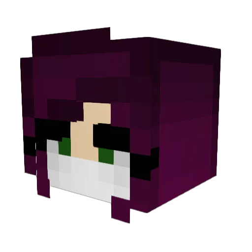 Lunaraptor6 Minecraft avatar head, 3D render