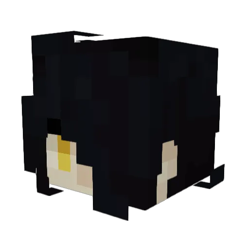 Lunarluna22 Minecraft avatar head, 3D render
