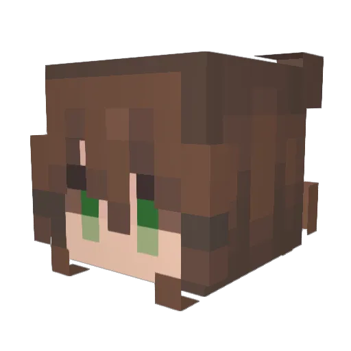 Lunasbed Minecraft avatar head, 3D render