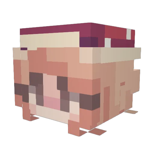 LunatheMusician Minecraft avatar head, 3D render