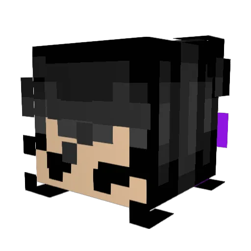 LunaticCookies Minecraft avatar head, 3D render