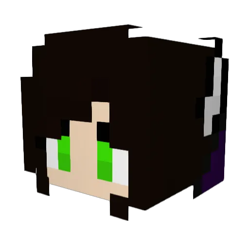 Lunatics24 Minecraft avatar head, 3D render