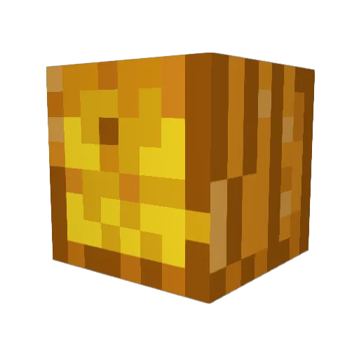 LunatikxX Minecraft avatar head, 3D render