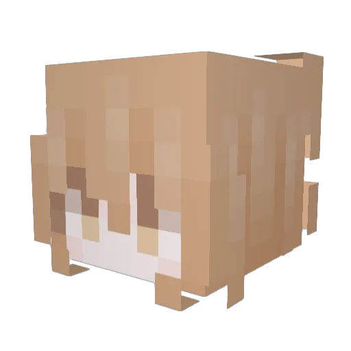 Lunatyk4wb Minecraft avatar head, 3D render
