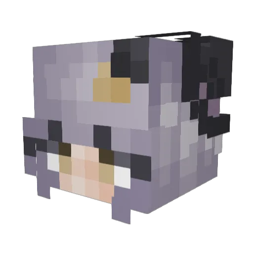 Lunautic Minecraft avatar head, 3D render