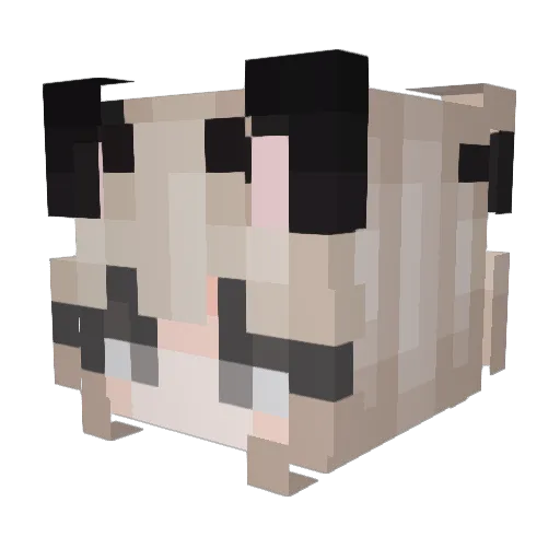 Lunavariance Minecraft avatar head, 3D render