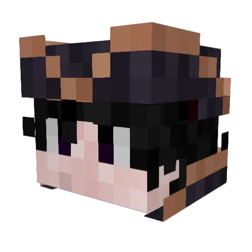 LunchBoxOfDoom Minecraft avatar head, 3D render