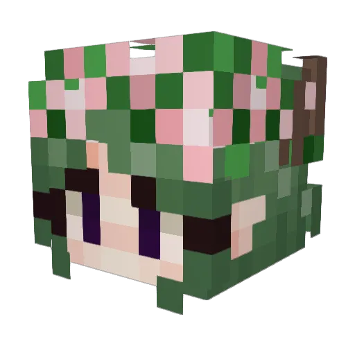 LunchbagLetdown Minecraft avatar head, 3D render