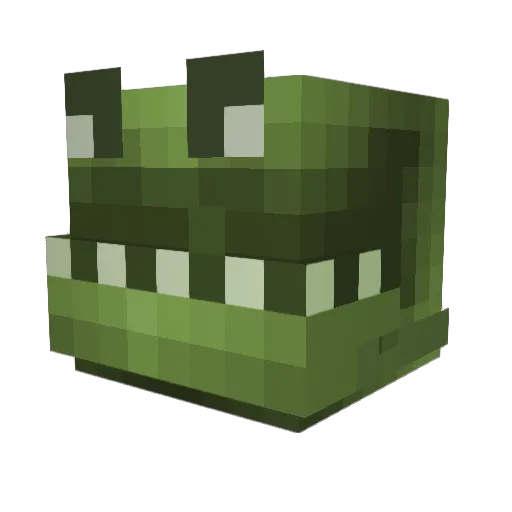 Lunctus Minecraft avatar head, 3D render