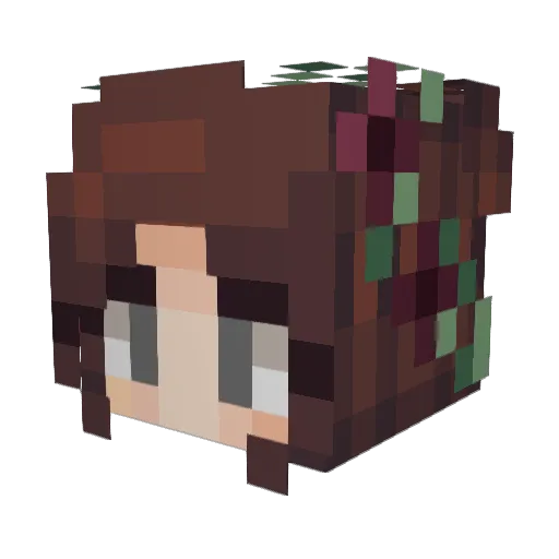 Minecraft-Avatar von LunelleLu: Kopf als 3D-Render