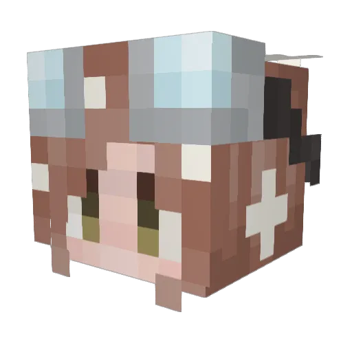 Luner_Owl Minecraft avatar head, 3D render
