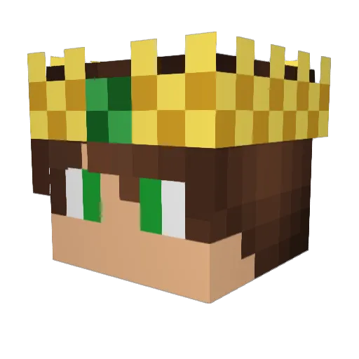 Lunga_Power Minecraft avatar head, 3D render