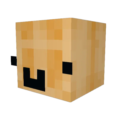 Lunis_38 Minecraft avatar head, 3D render