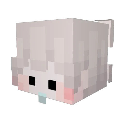 Lunnnz Minecraft avatar head, 3D render