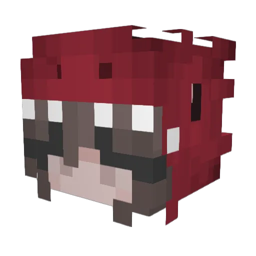 Lunor5119 Minecraft avatar head, 3D render