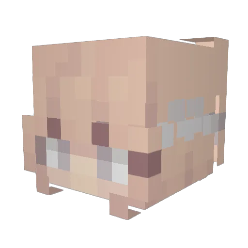 Luntrix Minecraft avatar head, 3D render