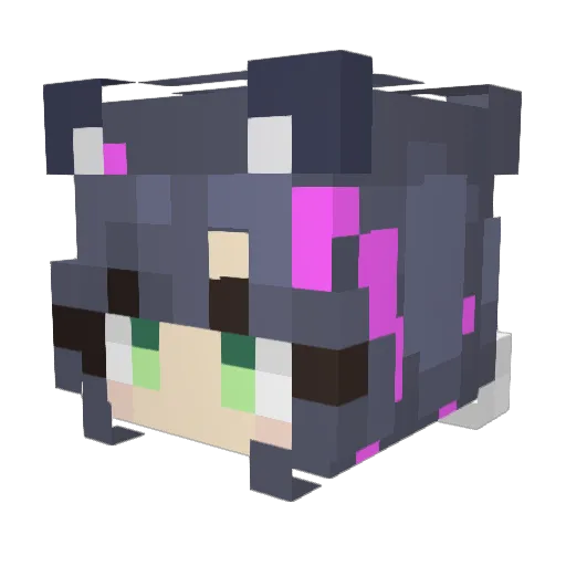 Lunywooooooooooo Minecraft avatar head, 3D render
