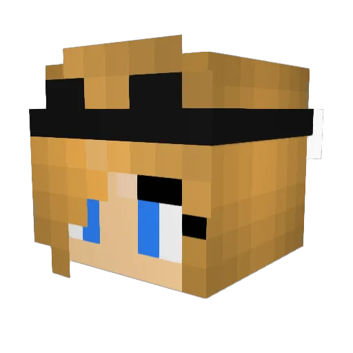 Lunz Minecraft avatar head, 3D render