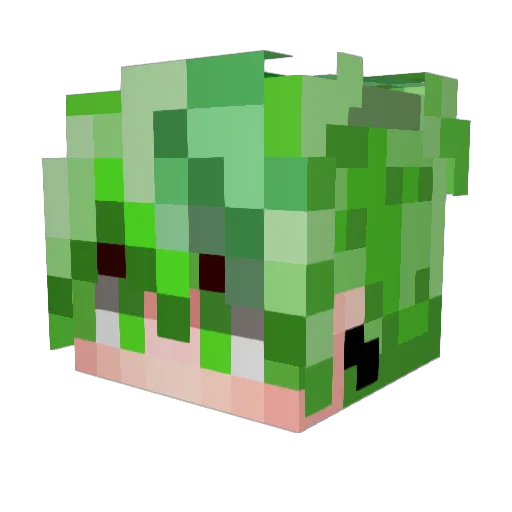 Luomu_ Minecraft avatar head, 3D render