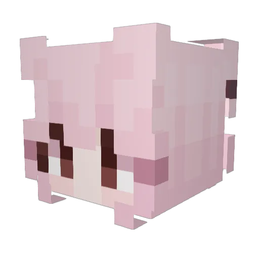 Lupi_rin Minecraft avatar head, 3D render
