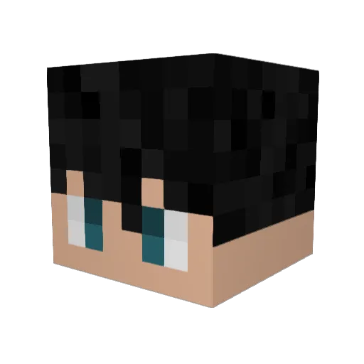Luplay31 Minecraft avatar head, 3D render