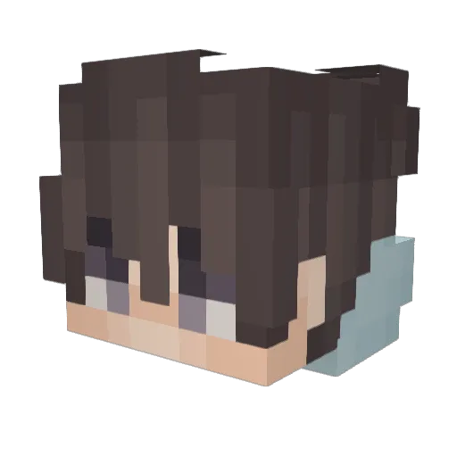 Lupo1911 Minecraft avatar head, 3D render