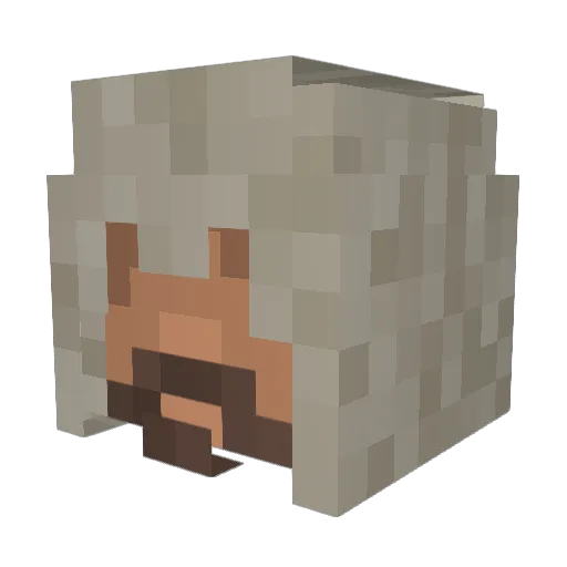 Lupow0lf Minecraft avatar head, 3D render