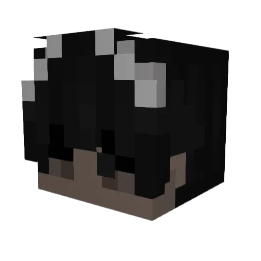 Luppy_Cookie Minecraft avatar head, 3D render