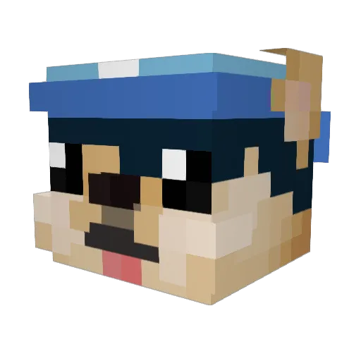 LuquiSB Minecraft avatar head, 3D render