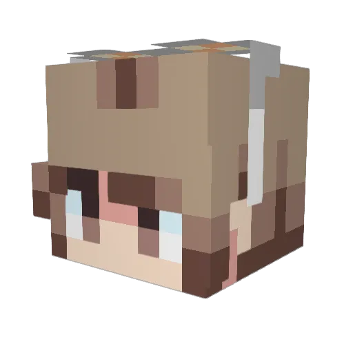 Lurelius Minecraft avatar head, 3D render