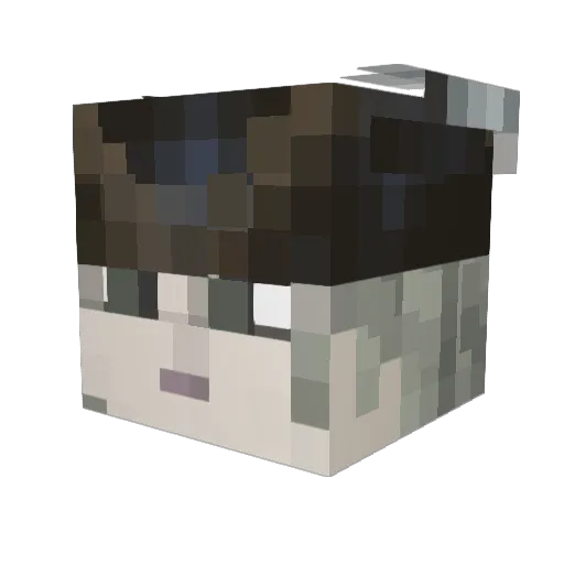 Lurker534 Minecraft avatar head, 3D render