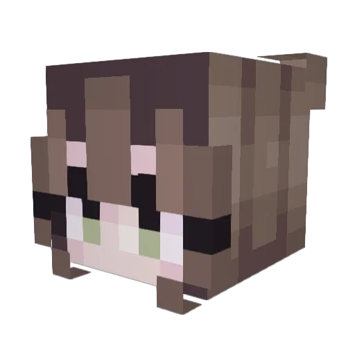 LurkingLemon2000 Minecraft avatar head, 3D render